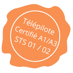1 logo telepilote